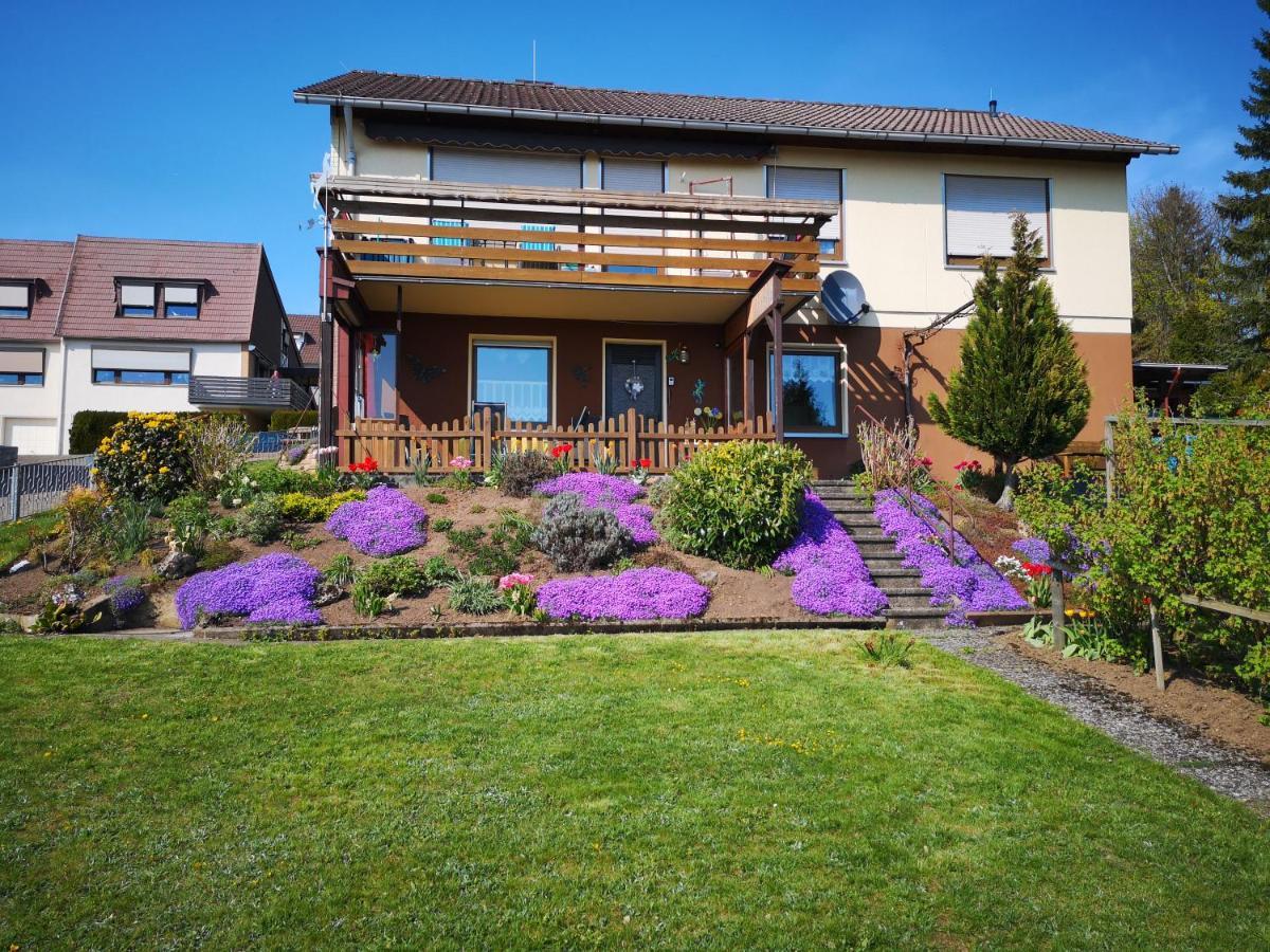 Apartment Traumblick Bad Sachsa